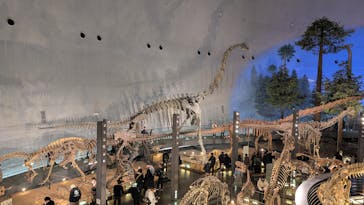 福井県立恐竜博物館に投稿された画像（2025/1/4）