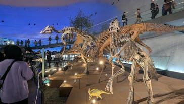福井県立恐竜博物館に投稿された画像（2025/1/4）