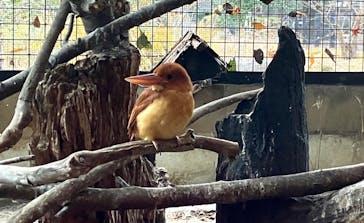 恩賜上野動物園に投稿された画像（2025/1/4）