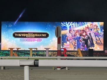 東京メガイルミに投稿された画像（2025/1/4）