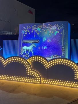 東京メガイルミに投稿された画像（2025/1/4）