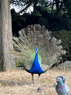 伊豆シャボテン動物公園に投稿された画像（2025/1/4）