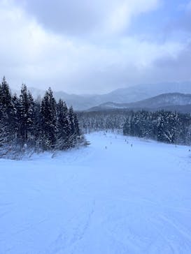 会津高原だいくらスキー場に投稿された画像（2025/1/4）