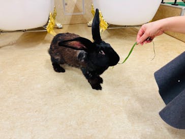 アニタッチ MARK IS 静岡に投稿された画像（2025/1/4）