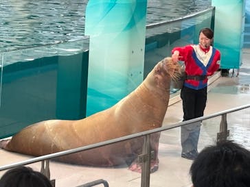 横浜・八景島シーパラダイスに投稿された画像（2025/1/4）