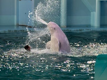 横浜・八景島シーパラダイスに投稿された画像（2025/1/4）