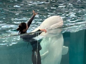 横浜・八景島シーパラダイスに投稿された画像（2025/1/4）