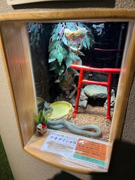 島根県立 しまね海洋館に投稿された画像（2025/1/5）