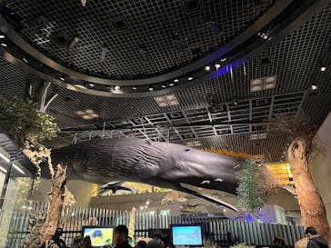 国立科学博物館に投稿された画像（2025/1/5）