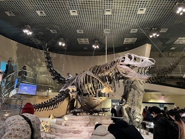 国立科学博物館に投稿された画像（2025/1/5）