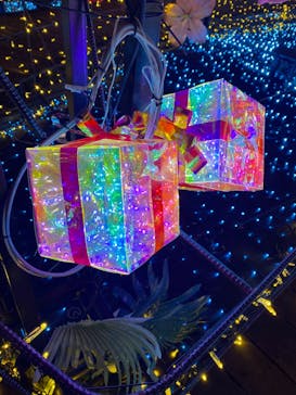 伊豆高原グランイルミに投稿された画像（2025/1/5）