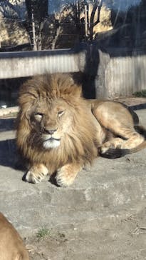 東武動物公園に投稿された画像（2025/1/5）