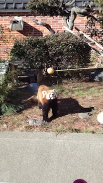 東武動物公園に投稿された画像（2025/1/5）