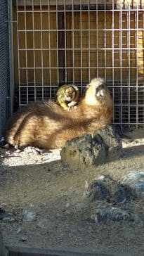 東武動物公園に投稿された画像（2025/1/5）