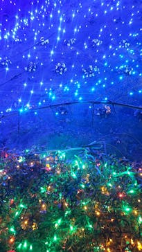 東武動物公園に投稿された画像（2025/1/5）