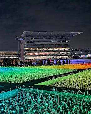 東京メガイルミに投稿された画像（2025/1/4）