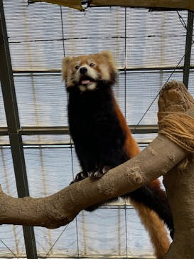 神戸どうぶつ王国に投稿された画像（2025/1/5）