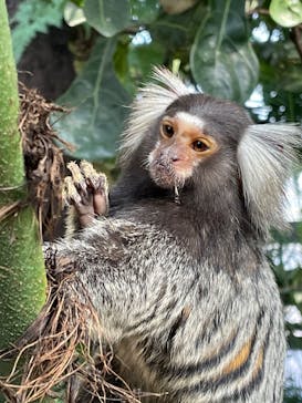 神戸どうぶつ王国に投稿された画像（2025/1/5）