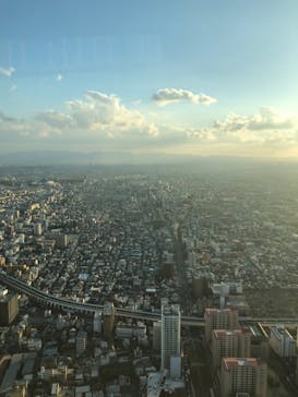 ハルカス300(展望台)に投稿された画像（2025/1/5）