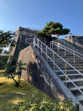 元離宮二条城に投稿された画像（2025/1/5）