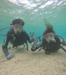 武藤潜水に投稿された画像（2025/1/5）