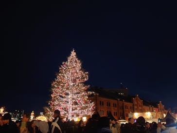 Christmas Market in 横浜赤レンガ倉庫 2025に投稿された画像（2025/1/5）