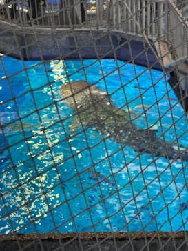沖縄美ら海水族館に投稿された画像（2025/1/5）