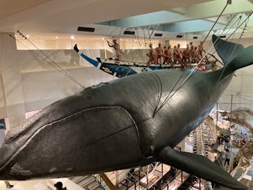 太地町立くじらの博物館に投稿された画像（2025/1/5）