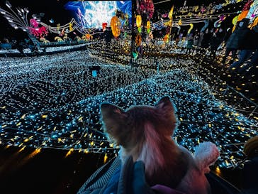 伊豆高原グランイルミに投稿された画像（2025/1/5）