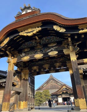 元離宮二条城に投稿された画像（2025/1/5）