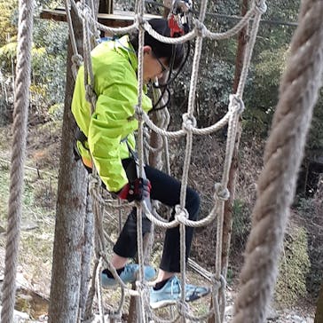 フォレストアドベンチャー・西条に投稿された画像（2025/1/5）