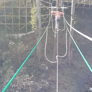 フォレストアドベンチャー・西条に投稿された画像（2025/1/5）