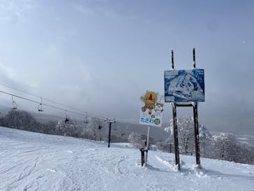 たざわ湖スキー場に投稿された画像（2025/1/5）