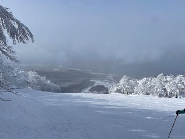 たざわ湖スキー場に投稿された画像（2025/1/5）