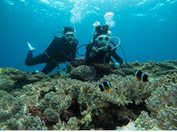 DIVE IN CHATANに投稿された画像（2025/1/5）