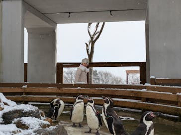 那須どうぶつ王国に投稿された画像（2025/1/5）