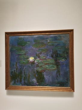 モネ 睡蓮のとき（国立西洋美術館）に投稿された画像（2025/1/5）