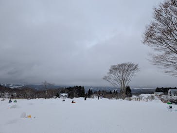 牧歌の里に投稿された画像（2025/1/5）