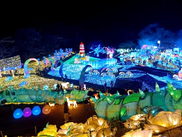 伊豆高原グランイルミに投稿された画像（2025/1/5）