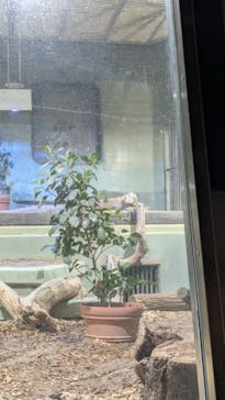 名古屋市東山動植物園に投稿された画像（2025/1/5）