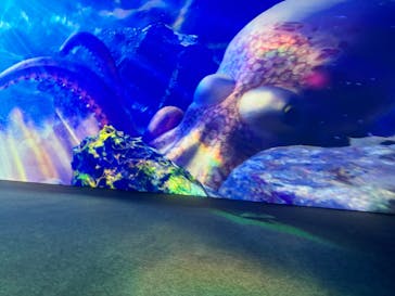 動き出す浮世絵展 TOKYOに投稿された画像（2025/1/5）