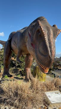 伊豆ぐらんぱる公園に投稿された画像（2025/1/5）