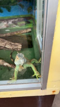 おきなわワールドに投稿された画像（2025/1/5）