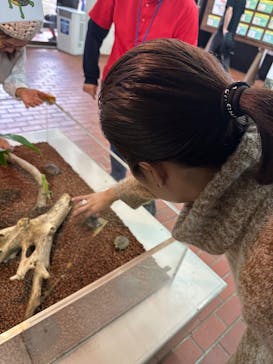 おきなわワールドに投稿された画像（2025/1/5）