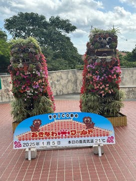 おきなわワールドに投稿された画像（2025/1/5）