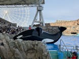 名古屋港水族館に投稿された画像（2025/1/5）