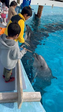 マリンワールド海の中道に投稿された画像（2025/1/5）