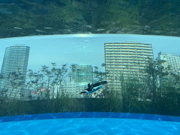 サンシャイン水族館に投稿された画像（2025/1/5）