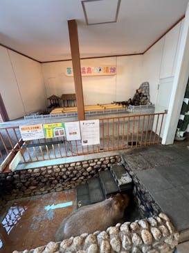 おさるの湯もみ処　おさ湯に投稿された画像（2025/1/5）