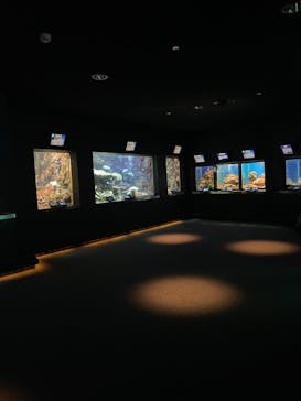 串本海中公園水族館に投稿された画像（2025/1/5）